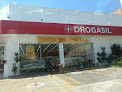 Negocio Drogasil