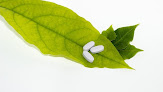 Negocio Farmacia Lourdes Cortés