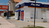 Negocio Panvel Farmácias
