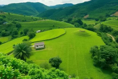 cariacica