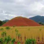 maringa