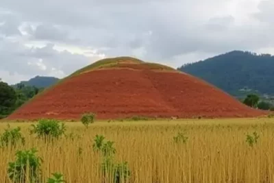 maringa