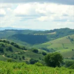 paranavai