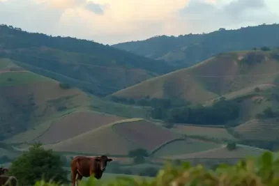 telemaco-borba