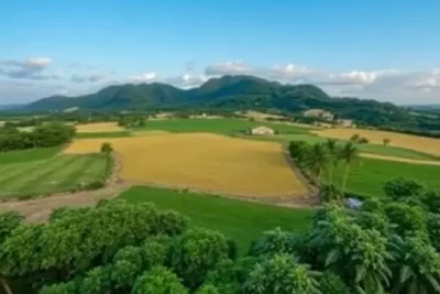 uniao-da-vitoria
